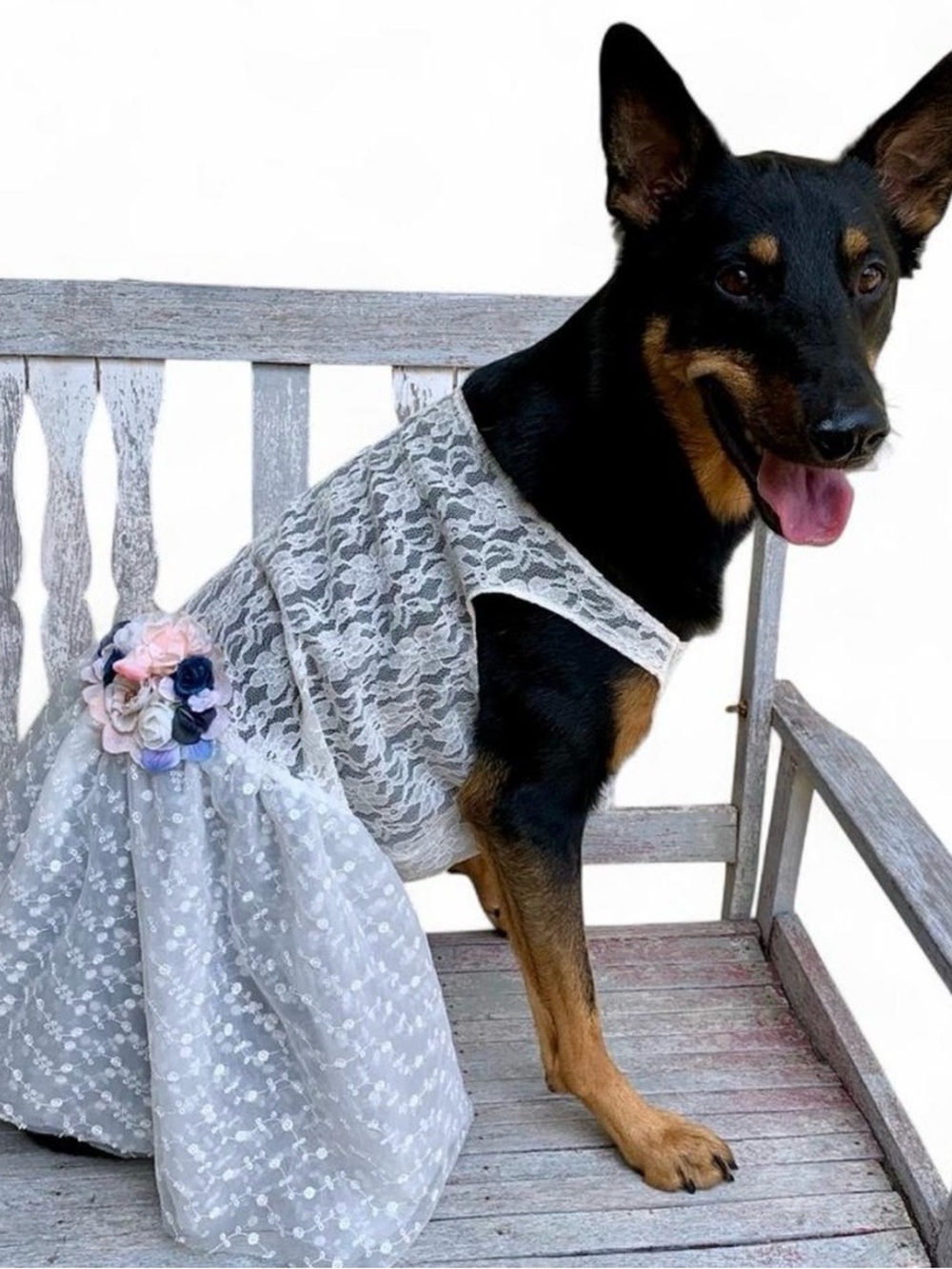 White Lace Floral Pet Dress with Pastel Flower Accent